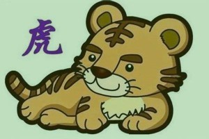 属虎的幸运色是什么颜色最旺