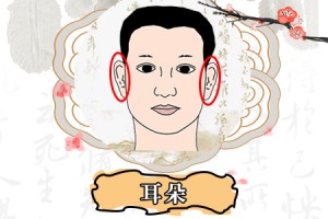 男人耳朵小婚姻怎么样