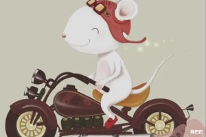 生肖鼠本命年运势大揭秘