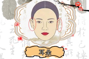 招风耳女人好不好