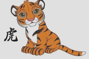 属虎的今年的运势和财运如何