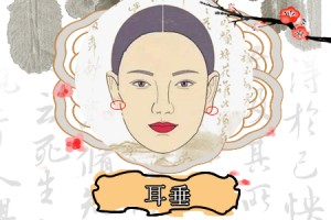 没耳垂的女人好吗