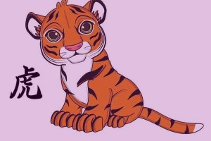 本命年虎年手链戴什么好