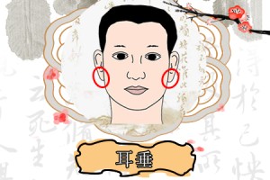 大耳垂的人有福吗