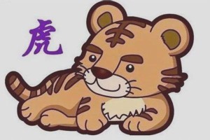 属虎的人本命年适合佩戴什么吉祥物