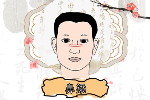 鼻梁高的男人财运好吗