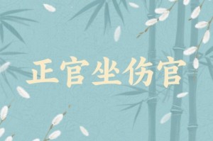 正官坐伤官是什么意思