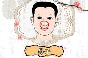 鼻孔外露的人面相