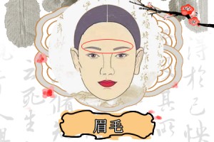 柳叶眉的女人面相分析