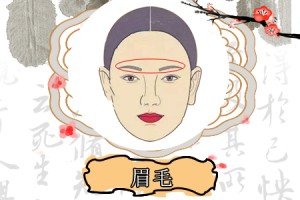 怎么样的眉毛招桃花运