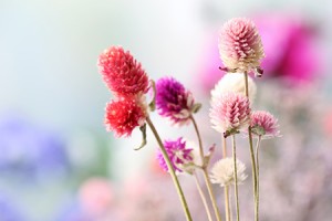 什么面相人缘不好