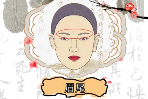 眉尾稀少 女人 面相
