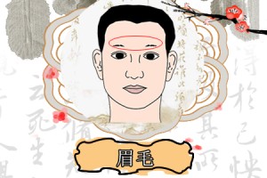 八字眉的男人能嫁吗命运好不好
