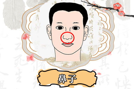 鼻子歪的男生财运好吗