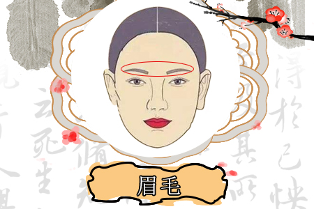 什么样的眉毛桃花运旺